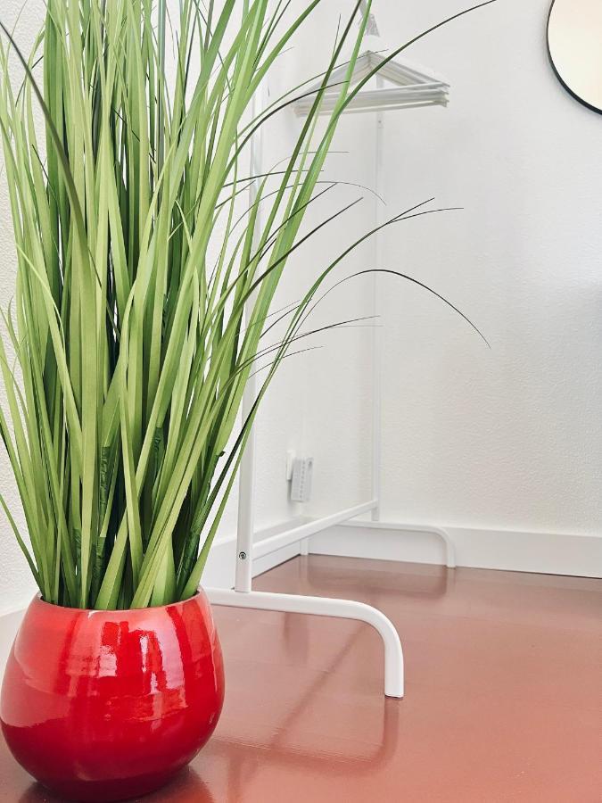 Lanton Plage - Appartement 6 Pers. Terrasse Екстериор снимка
